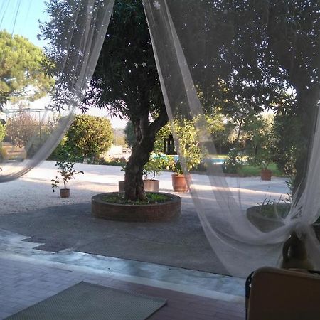 Il Gelso Di Barcuzzi Bed & Breakfast Lonato Exterior photo
