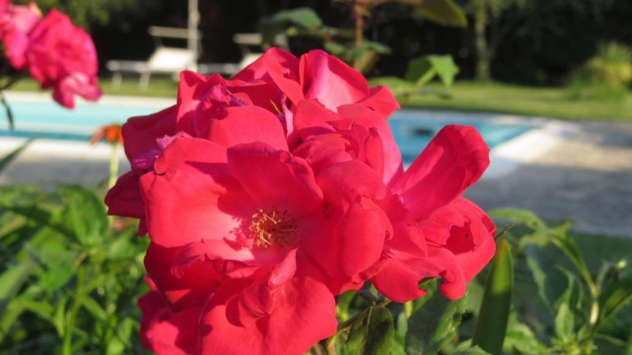 Il Gelso Di Barcuzzi Bed & Breakfast Lonato Exterior photo