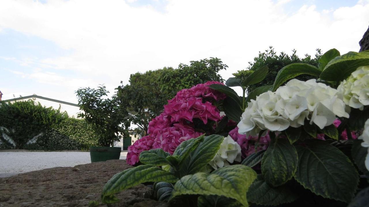 Il Gelso Di Barcuzzi Bed & Breakfast Lonato Exterior photo