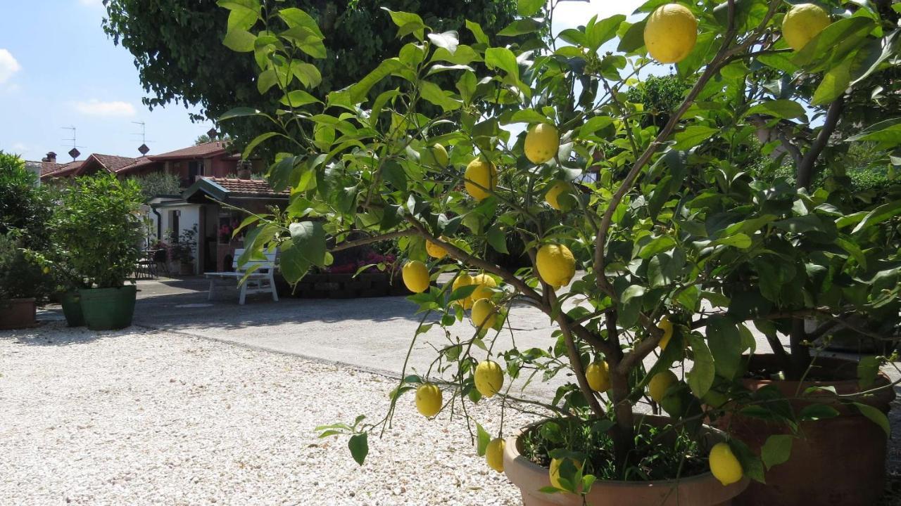 Il Gelso Di Barcuzzi Bed & Breakfast Lonato Exterior photo