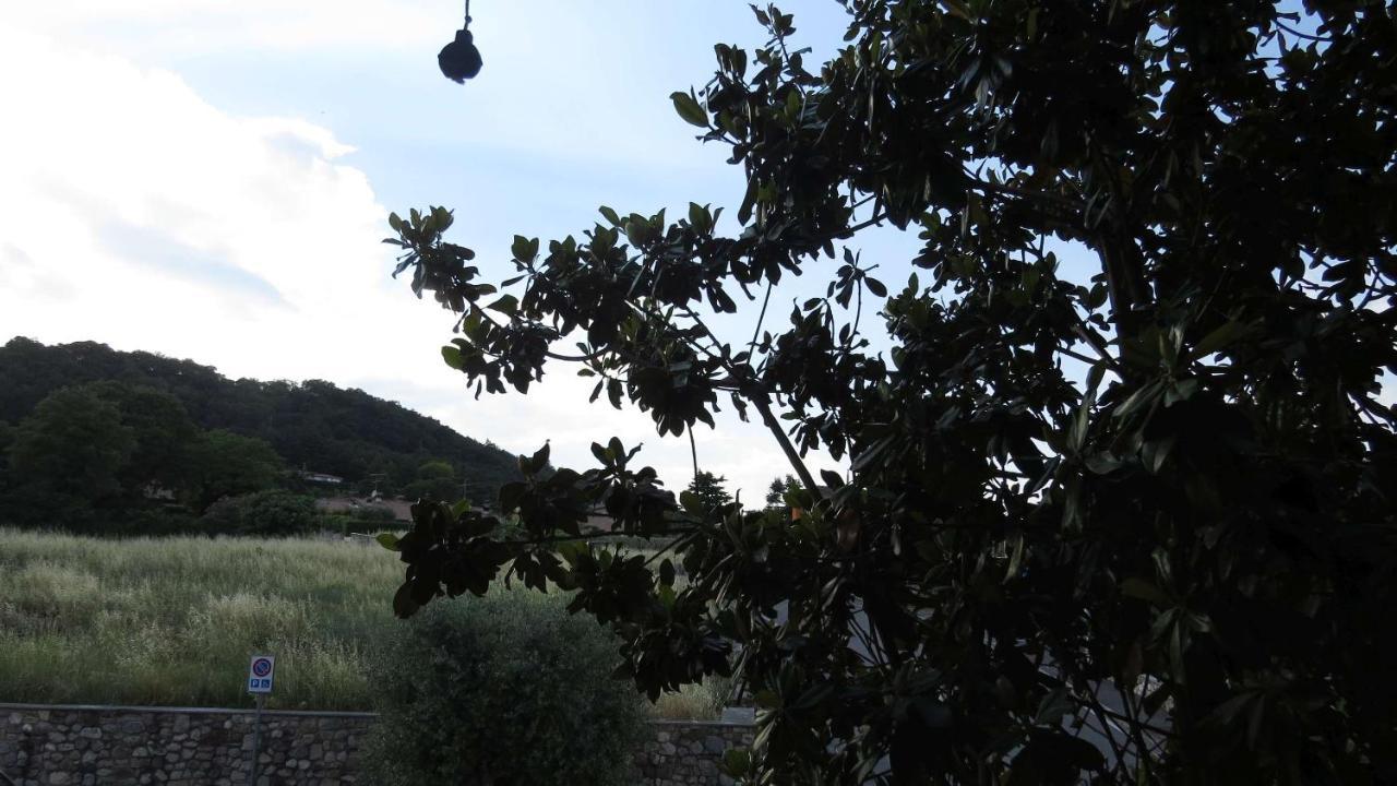 Il Gelso Di Barcuzzi Bed & Breakfast Lonato Exterior photo