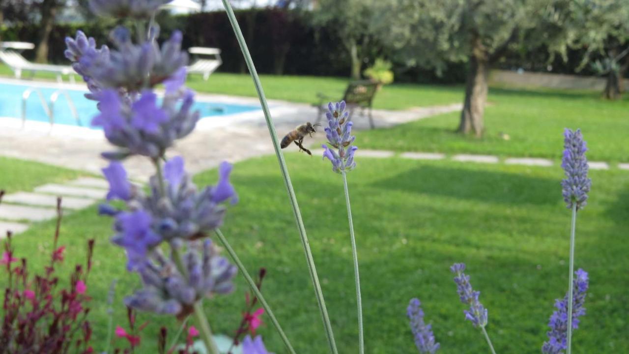 Il Gelso Di Barcuzzi Bed & Breakfast Lonato Exterior photo