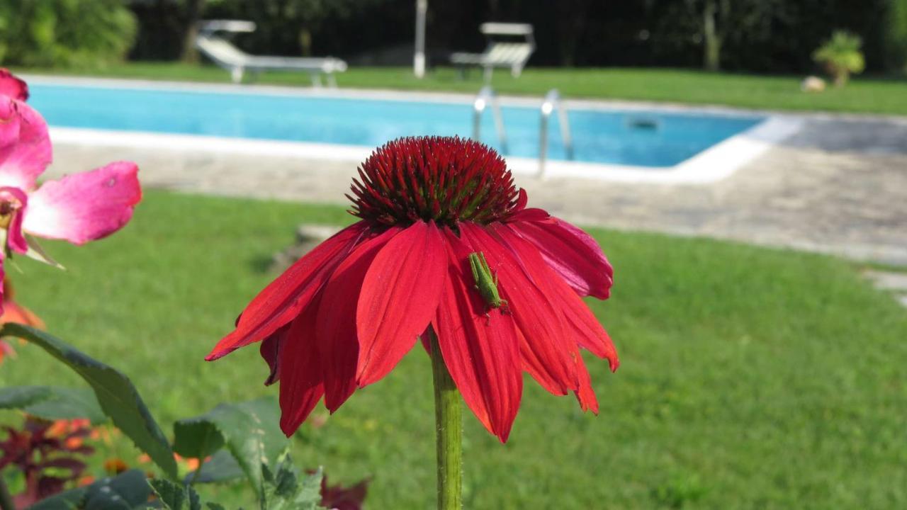 Il Gelso Di Barcuzzi Bed & Breakfast Lonato Exterior photo